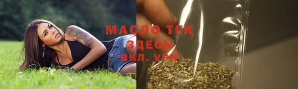 таблы Гусев