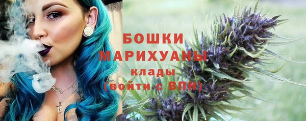 прущие грибы Орехово-Зуево
