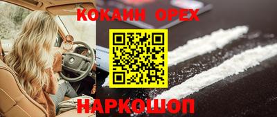 индика Аргун