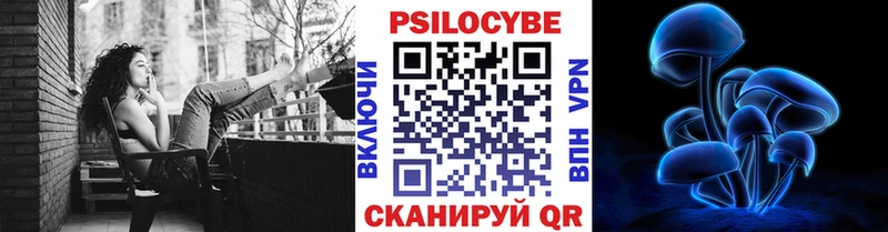 Псилоцибиновые грибы Magic Shrooms  blacksprut вход  Владимир  shop формула  даркнет сайт 