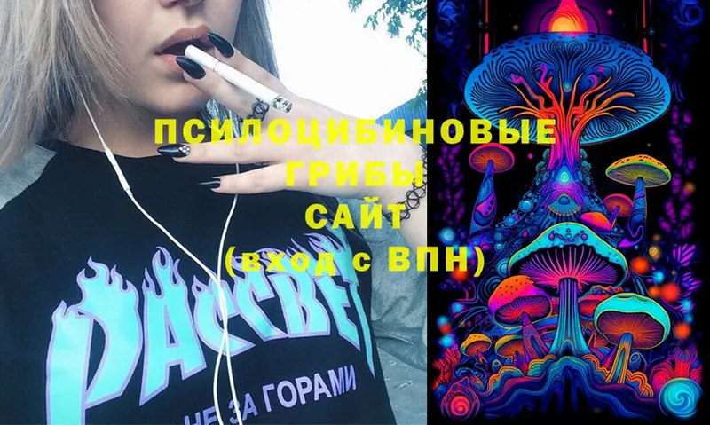 Псилоцибиновые грибы Psilocybine cubensis Владимир