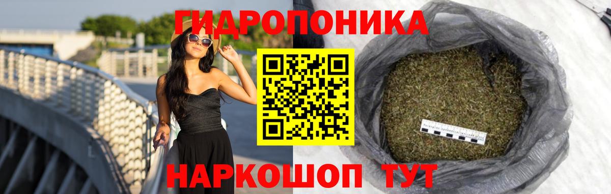 Владимир  Шишки марихуана план  Вход с VPN  Каннабис White Widow  Шишки марихуана VHQ 