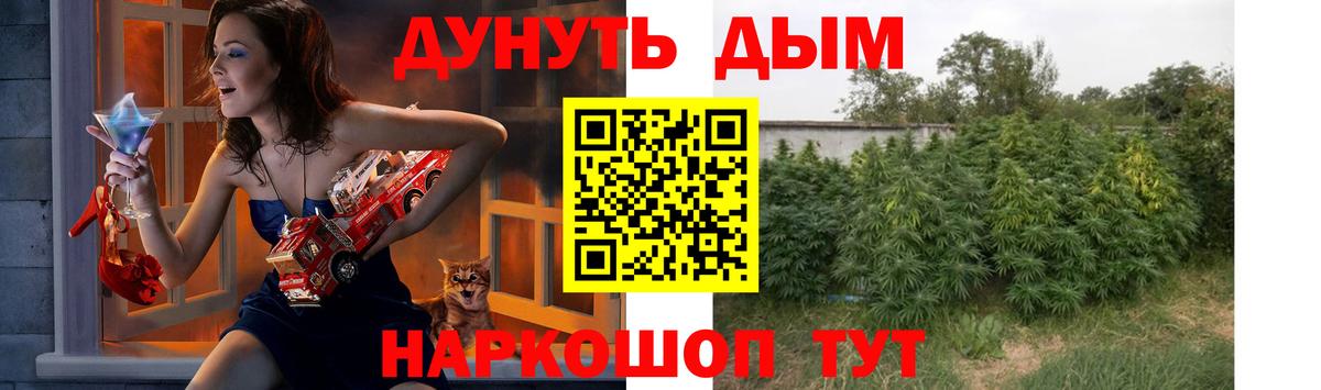 МАРИХУАНА гибрид  Владимир  Канабис конопля  Шишки марихуана White Widow  Бошки марихуана семена 